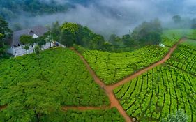 Tea Harvester